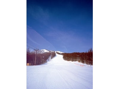 「雪あそび広場」を新設！家族でパウダースノーを楽しもう！あだたら高原スキー場 12月23日オープン！