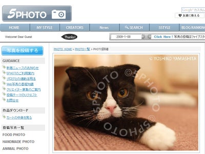 写真＆イラストの投稿WEBサイト『5PHOTO』のお知らせ