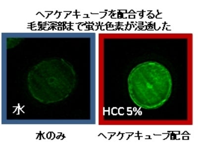聖マリアンナ医科大学発ベンチャー、毛髪浸透促進剤「ヘアケアキューブ」開発　メーカー向けに4月25日発売　薬物療法のDDS技術応用、染毛剤やトリートメントの有効成分を毛髪に浸透させる化粧品原材料