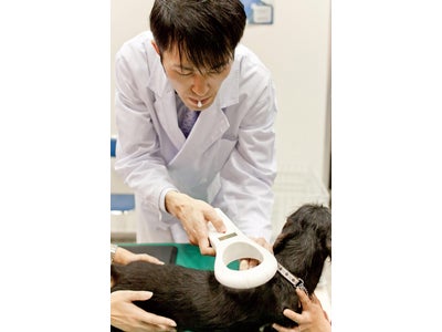 日本獣医師会のイベント「２０１１　動物感謝デーin　JAPAN」においてマイクロチップ無償装着を実施　今後は提携動物病院・獣医師の募集を強化