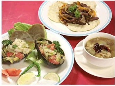 ～メキシコの食用サボテン＝ノパルの味を日本の消費者に～  ホームメイド協会食文化スタディ「サボテン」5月15日（土）より開催