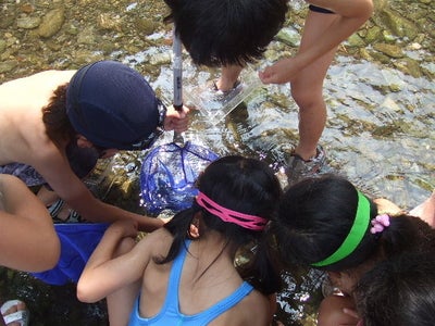 『２００９年 小学生の夏休み、共働き家庭の選択肢広がる』～キャンプ、農業体験、社会見学などの体験型イベントが人気～