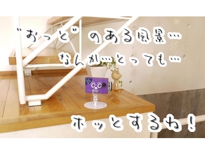 一人暮らしの女性からペットまで、簡単・安心・安全の留守番カメラ「otto（おっと）」