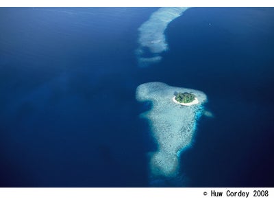 BBC EARTH2010　サウス・パシフィック　海と島々の饗宴 WOWOWで放送