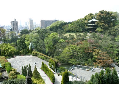 東京・目白の日本庭園で若手アーティスト４６名の作品を展開する現代アート展を開催