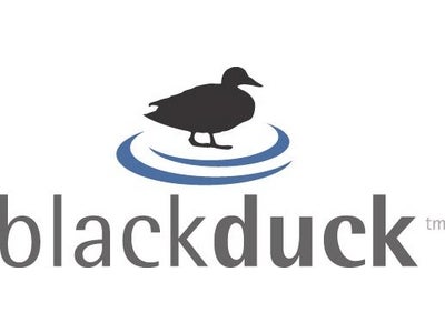 従来比10 倍の検知速度 煩雑なOSS コンポーネントの確認作業の大幅削減が可能に　Black Duck Suite™ バージョン6 をリリース