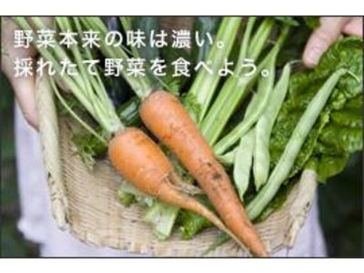 みんなの「ほしい!」をクリエイターが商品化。「野菜栽培セット」販売スタート