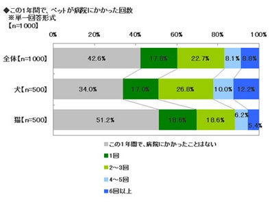 ～ソニー損保、愛犬・愛猫の健康に関する調査～