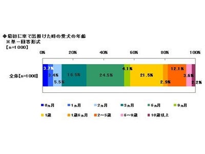 ソニー損保、愛犬とのドライブに関する調査