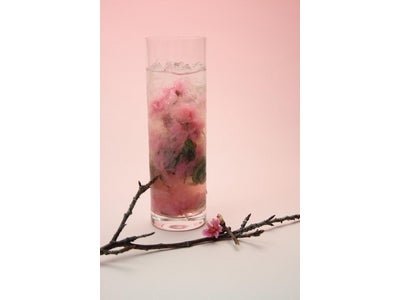ANAインターコンチネンタル万座ビーチリゾート 沖縄からの桜だより「桜フェアー」開催　期間 ： 2011年1月8日（土）～2月28日（月）