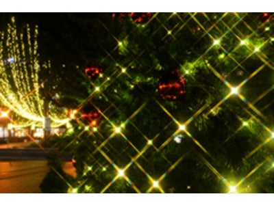 「クリスマスシーズンのダイエット！！」microdiet.netレポート