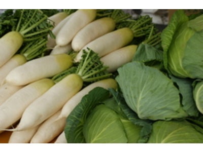 「知っているようでよく知らない、食物繊維の話」　microdiet.netレポート
