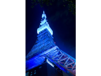 「11月東京タワーをはじめ全国の有名スポットがブルーにライトアップされる理由」microdiet.netレポート