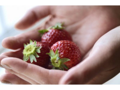 「何をどれだけ食べれば「バランスの良い食事」に？今すぐ分かる「手ばかり」で簡単に！」microdiet.netレポート