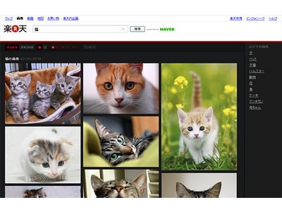 NAVER（ネイバー）、楽天が運営する「楽天ツールバー」および ポータルサイト「インフォシーク」に画像検索エンジンを提供　―　2011年5月11日（水） サービス開始