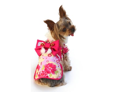 furpeace開発 犬のつぶやき型広告で、ペットパラダイスの「２０１２年賀状 ファッションコンテスト」が開始