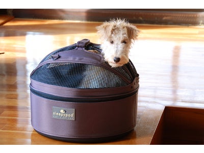 犬がつぶやくfurpeace、ドッグバッグ『sleepypod』プレゼント企画-ずっともっと心地よく-