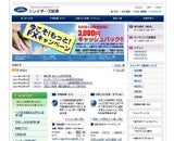 トレイダーズホールディングス株式会社