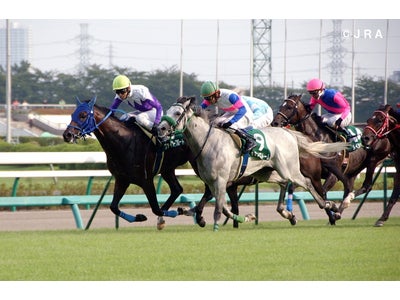 競馬界初！?白馬に乗った王子様がお姫様にプロポーズ！『中山競馬場芝コースでプロポーズできる権利』抽選で1組様プレゼント!!