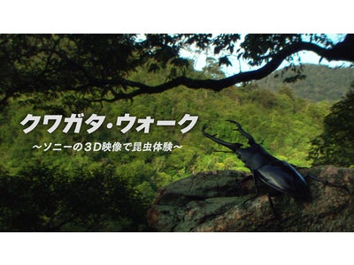 東京お台場の体験型科学館 「ソニー・エクスプローラサイエンス」 ３Ｄ映像の新コンテンツ体験イベントを開催 昆虫の視点を体感しよう！ 『クワガタ・ウォーク』 ４月２４日（土）より上映開始