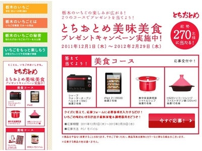 首都圏から最も近くて新鮮なブランドいちご　栃木のとちおとめ 出荷を記念して『とちおとめ美味美食プレゼントキャンペーン』を開始