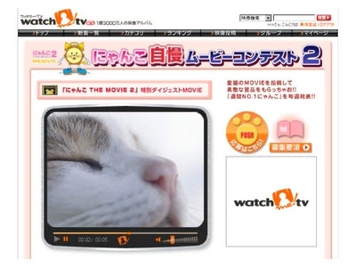 「ワッチミー！TV」カワイイしぐさや笑える一芸など愛猫の映像を大募集！「にゃんこ自慢ムービーコンテスト２」