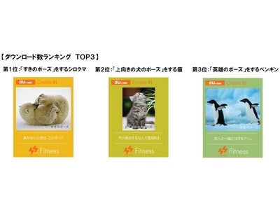 シロクマもヨガ？『動物ヨガ待受け』が人気！