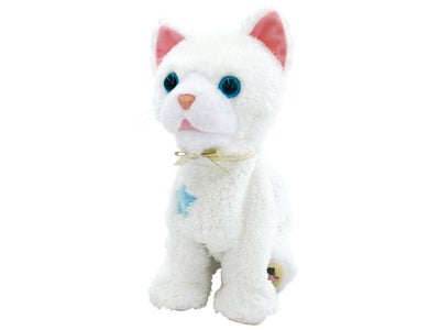 猫なのに “おすわり”や“さかだち”ができる芸達者『うちのヒロインキャット さかだちニャッチー』