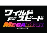 株式会社東急レクリエーション