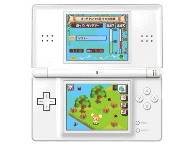 ニンテンドーDS®用ゲームソフト『Livly(リヴリー) Garden(ガーデン)（仮称）』制作決定のお知らせ　～自分だけのリヴリーとガーデンを育てる、育成シミュレーションゲーム～