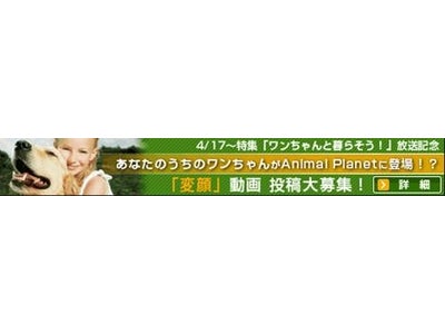 アニマルプラネットの４月の特集「ワンちゃんと暮らそう！」でOneOne.TVに投稿されたワンちゃん動画が紹介される連動企画開始