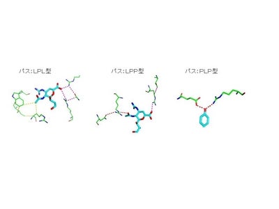 インフォコム、ヘルスケア事業領域の展開を加速～創薬研究・開発者向けにタンパク質・リガンド複合体解析ツールの販売を開始～