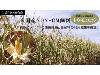 NON-GM(非遺伝子組み換え)トウモロコシ、中長期の使用継続を確認