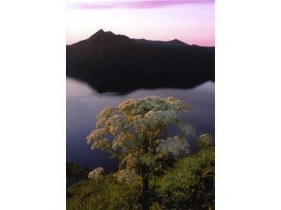 アイデムフォトギャラリー[シリウス]　幹の会第23回写真展　「折々の景」　期間：2012年3月29日（木）～4月4日（水）