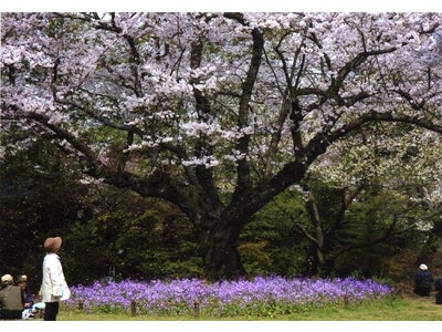産経学園　写真展　「第6回吉祥寺・新百合ヶ丘・自由が丘カメラ散歩グループ合同展」　期　間： 2011年10月13日（木）～10月19日（水）