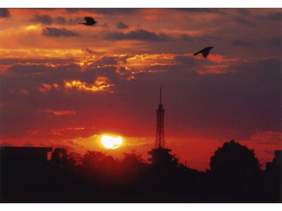 アイデムフォトギャラリー[シリウス]　「 第4回 東海大学写真部OB 写真展」　期間：2012年4月12日（木）～4月18日（水）