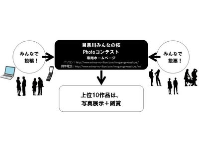 ～桜で繋がろう！！～ 　地域の和を広げる「目黒川みんなの桜Photoコンテスト」開催