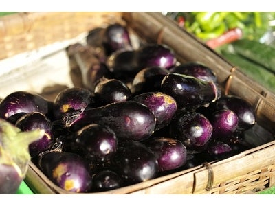 美容成分の宝庫！1000年の歴史と文化が育んだ京の平安野菜を化粧品に　紫外線で高まるアンチエイジング作用　一級品野菜「賀茂なす」規格外品を化粧品原料に有効活用
