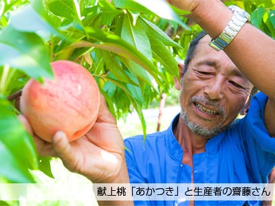 葉っぱも甘い！　皇室御用達　最高級品質の桃を化粧品に　ふるさと元気プロジェクト67種類目の化粧品原料として追加　選びぬかれた甘さとプルプル肌の秘訣は人と土地にあり