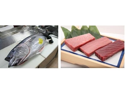 宮城県限定「だんまや水産」による年末特別企画  最高級ブランド『大間産本まぐろ』を数量限定販売 2010年12月21日（火）より宮城県内「だんまや水産」6店舗にて実施