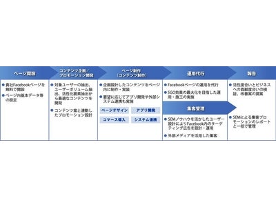 SEM及びSGM専門のコンサルティングを手掛ける株式会社ビズスタイル　Facebookページの企画設計から制作・運用までをトータル管理するコンサルティングサービスを開始