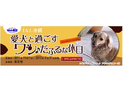 愛犬と一緒にリゾートを大満喫！JALパック「JAL沖縄 愛犬と過ごす ワンだふるな休日」10月20日（木）発売開始！