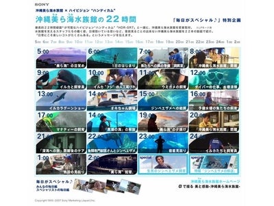 「毎日がスペシャル♪“ハンディカム”」