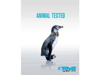 Tevaがペンギンとアスリート契約？！ ― Teva®がサンタバーバラ動物園と協力し、ペンギンを救うシューズを製作 ―