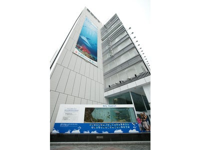 銀座 ソニービル「42nd Sony Aquarium 2009 -ハイビジョン沖縄美ら海水族館-」8月31日まで開催中！