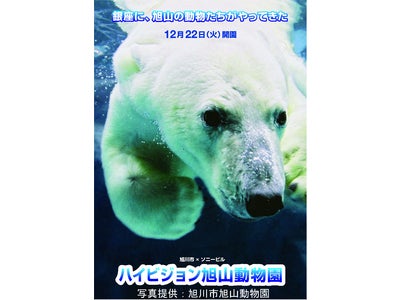 銀座 ソニービル「旭川市×ソニービル　ハイビジョン旭山動物園」大迫力の3D映像で人気の動物たちが目の前に！