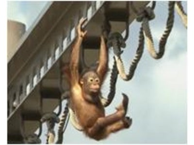 3Ｄ映像は“肉眼”を超えた!?　現役園長が認めた「3D 旭山動物園」の大迫力