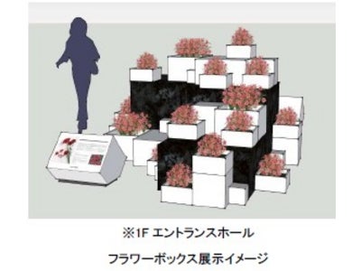 「Ginza Flower Letters」第5便 母の日にカーネーションを贈ろう！ 色とりどりの国産カーネーションが銀座を彩る