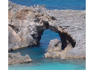 “世界初”小笠原諸島を迫力の3D映像で楽しめる！世界自然遺産・小笠原諸島 in 3D～世界に誇る感動がある～