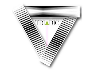 「bird×GIRA MUNDO」新プロジェクト【TRIADIC】が遂に始動！！7/20より、【iTunes Store】【レコチョク】にて、先行配信＜第二弾＞開始！